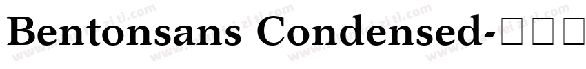 Bentonsans Condensed字体转换